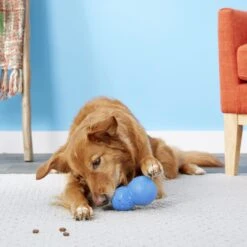 Frisco Snowman Rubber Treat Dispenser Dog Toy 13 Frisco Snowman Rubber Treat Dispenser Dog Toy -Chewy 164769 PT4. AC SS1800 V1563808954