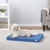 Frisco Quilted Orthopedic Pillow Cat & Dog Bed W/Removable Cover 2 Frisco Quilted Orthopedic Pillow Cat & Dog Bed W/Removable Cover -Chewy 165196 Main. AC SS1800 V1568726264