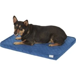 Frisco Quilted Orthopedic Pillow Cat & Dog Bed W/Removable Cover -Chewy 165196 PT2. AC SS1800 V1568726226