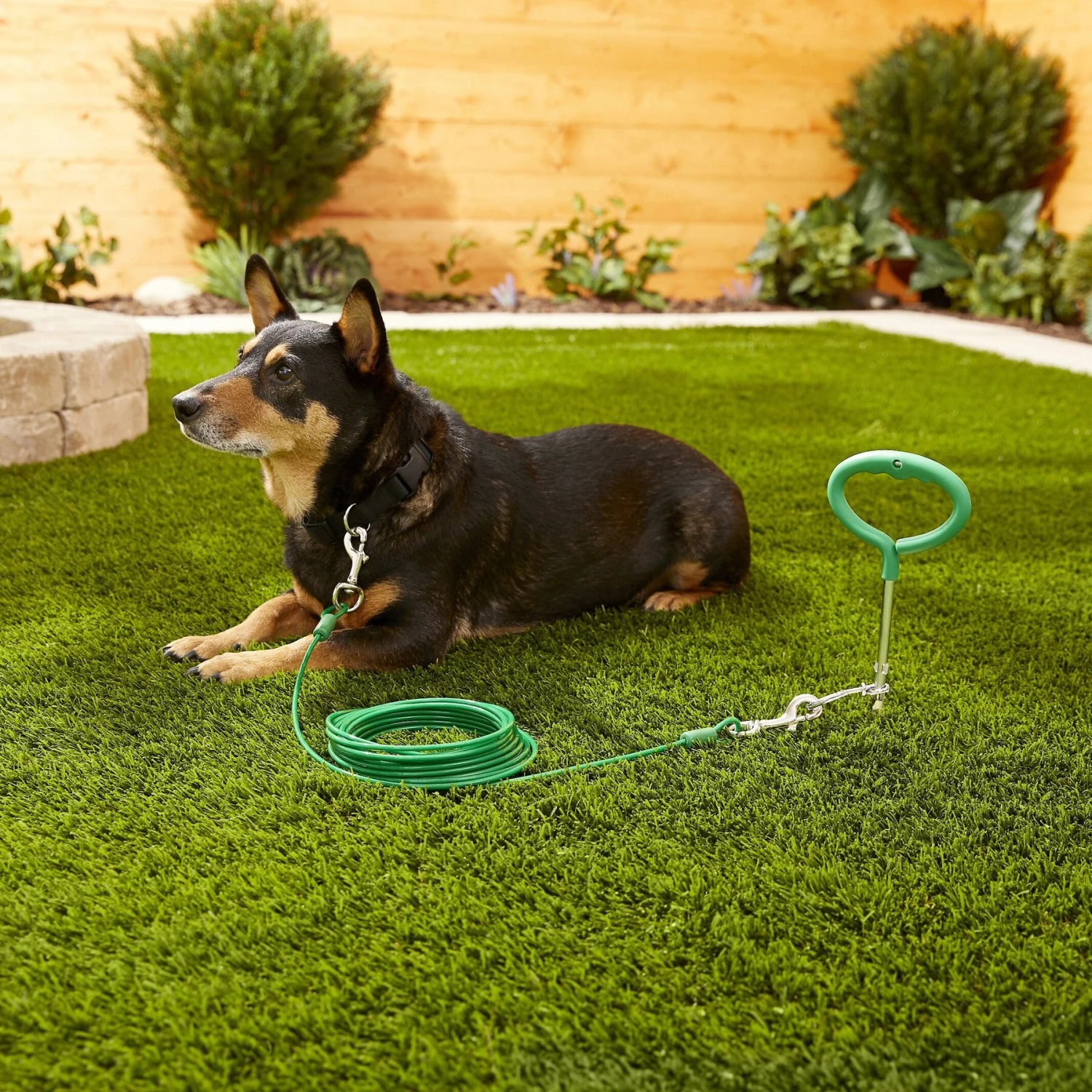 Frisco Tie Out Cable, Large 4 Frisco Tie Out Cable, Large - Image 2