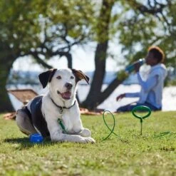 Frisco Easy Grip Stake With Tie Out Cable, Large 12 Frisco Easy Grip Stake With Tie Out Cable, Large -Chewy 166447 PT5. AC SS1800 V1701796826