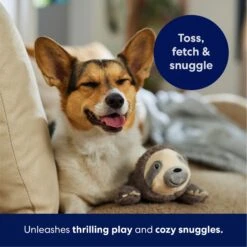 Frisco Sloth Plush Squeaky Dog Toy 12 Frisco Sloth Plush Squeaky Dog Toy -Chewy 174681 PT4. AC SS1800 V1695671029