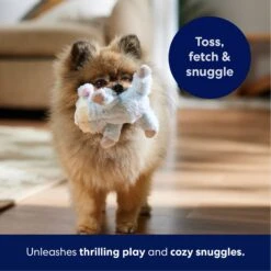 Frisco Lamb Plush Squeaky Dog Toy -Chewy 174686 PT4. AC SS1800 V1695659156