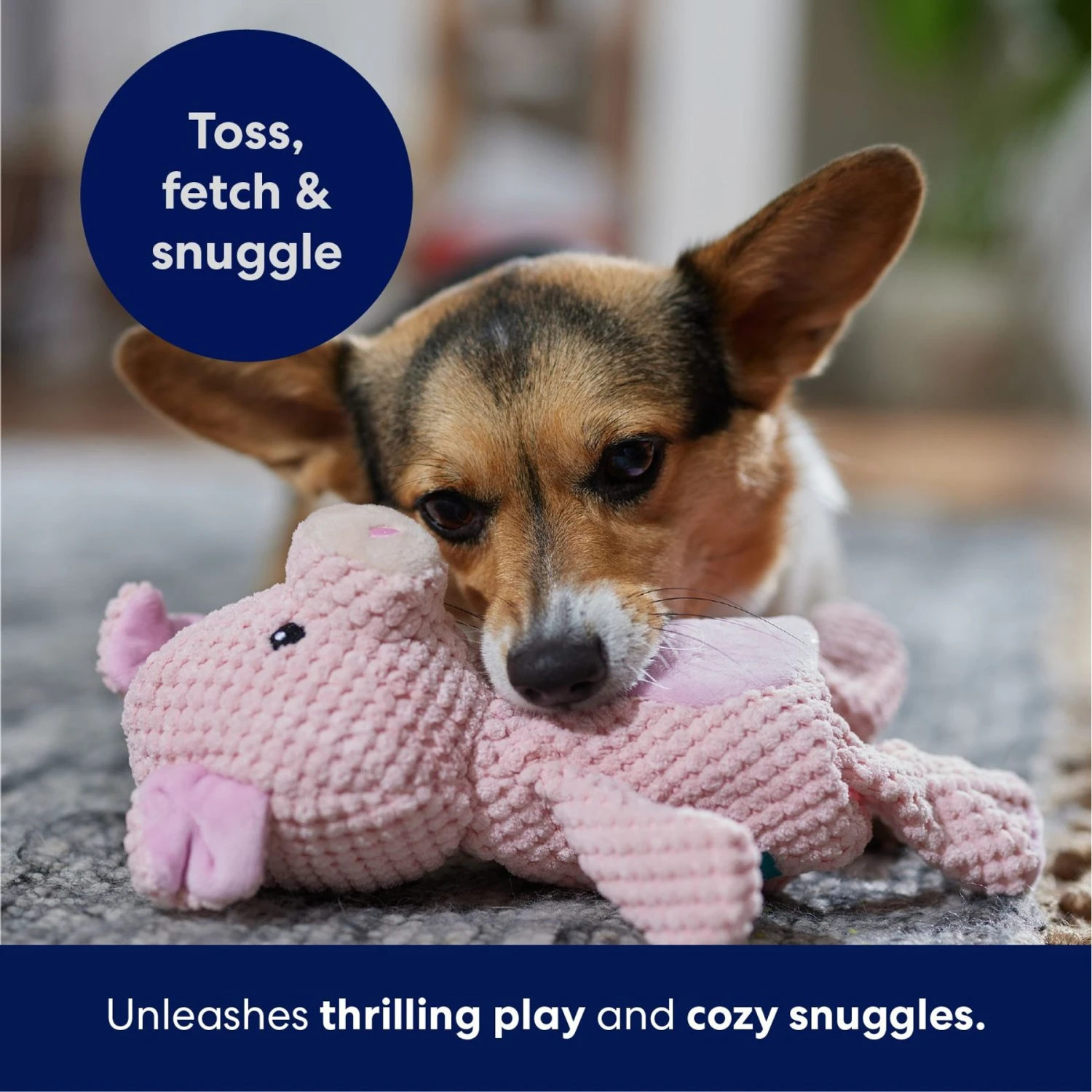 Frisco Pig Textured Plush Squeaky Dog Toy 7 Frisco Pig Textured Plush Squeaky Dog Toy - Image 5