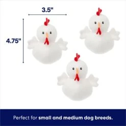 Frisco Chicken Coop Hide & Seek Puzzle Plush Squeaky Dog Toy 10 Frisco Chicken Coop Hide & Seek Puzzle Plush Squeaky Dog Toy -Chewy 174755 PT2. AC SS1800 V1691783968