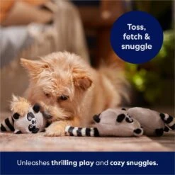 Frisco Trash Can & Raccoons Hide & Seek Puzzle Plush Squeaky Dog Toy Refills -Chewy 174766 PT5. AC SS1800 V1691783909