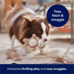 Frisco Monkeys In Tree Hide & Seek Puzzle Plush Squeaky Dog Toy Refills -Chewy 174768 PT5. AC SS1800 V1691784249