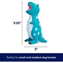 Frisco Dinosaur Latex Squeaky Dog Toy -Chewy 174770 PT1. AC SS1800 V1686579211