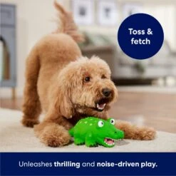 Frisco Alligator Latex Squeaky Dog Toy 10 Frisco Alligator Latex Squeaky Dog Toy -Chewy 174772 PT3. AC SS1800 V1686579212