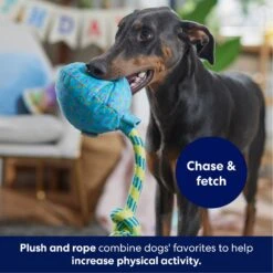 Frisco Birthday Balloon Plush With Rope Squeaky Dog Toy 10 Frisco Birthday Balloon Plush With Rope Squeaky Dog Toy -Chewy 177807 PT3. AC SS1800 V1695241973