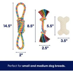 Frisco Jungle Pals Plush & Rope Variety Pack Dog Toy -Chewy 177819 PT2. AC SS1800 V1686579629