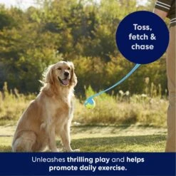 Frisco Ball Launcher & Fetch Squeaky Tennis Ball Dog Toy 10 Frisco Ball Launcher & Fetch Squeaky Tennis Ball Dog Toy -Chewy 178477 PT3. AC SS1800 V1695241970