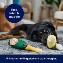 Frisco Champagne & Flute Plush Squeaky Dog Toy 12 Frisco Champagne & Flute Plush Squeaky Dog Toy -Chewy 183243 PT4. AC SS1800 V1695748410