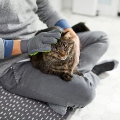 Frisco Dog & Cat Grooming Glove, Right Hand 15 Frisco Dog & Cat Grooming Glove, Right Hand -Chewy 206845 PT6. AC SS1800 V1610762805