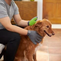 Frisco Dog & Cat Adjustable Grooming Gloves 14 Frisco Dog & Cat Adjustable Grooming Gloves -Chewy 206847 PT5. AC SS1800 V1610763673