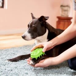 Frisco Bone Dog Curry Brush 8 Frisco Bone Dog Curry Brush -Chewy 206851 PT4. AC SS1800 V1680186155