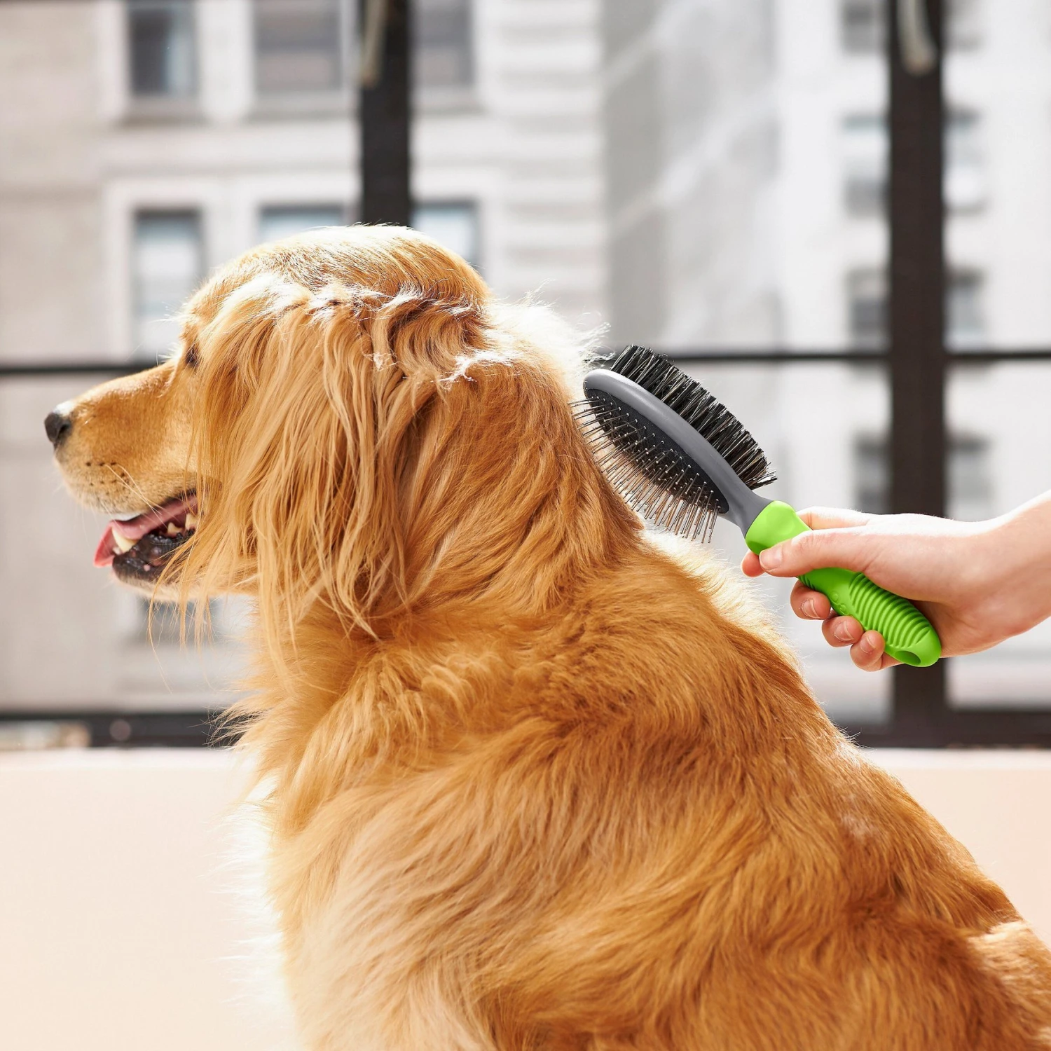 Frisco Cat & Dog Pin Bristle Brush 7 Frisco Cat & Dog Pin Bristle Brush - Image 5