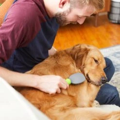 Frisco Cat & Dog Pin Brush 11 Frisco Cat & Dog Pin Brush -Chewy 206861 PT6. AC SS1800 V1680186099