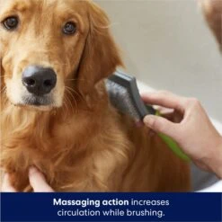 Frisco Self-Cleaning Slicker Dog Brush 12 Frisco Self-Cleaning Slicker Dog Brush -Chewy 206863 PT5. AC SS1800 V1680186156