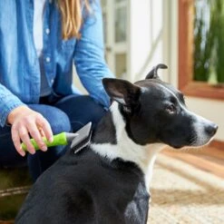 Frisco Soft Slicker Dog Brush, One Size -Chewy 206869 PT4. AC SS1800 V1680186388