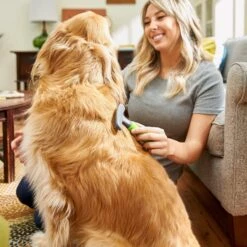 Frisco Shedding Rake Dog & Cat Brush -Chewy 206871 PT6. AC SS1800 V1680186390