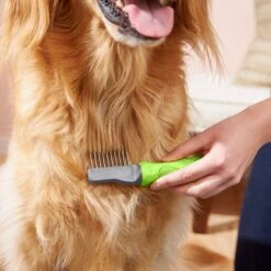 Frisco Dematting Dog Rake, One Size 10 Frisco Dematting Dog Rake, One Size -Chewy 206873 PT6. AC SS1800 V1680186104