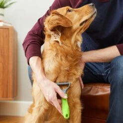 Frisco Dematting Double-Sided Dog & Cat Rake -Chewy 206875 PT6. AC SS1800 V1680186444