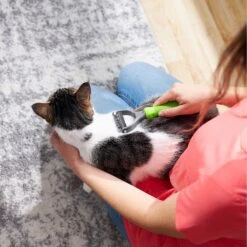 Frisco Dematting Double-Sided Dog & Cat Rake -Chewy 206875 PT7. AC SS1800 V1680186159