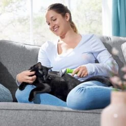 Frisco Deshedding Dog & Cat Brush 10 Frisco Deshedding Dog & Cat Brush -Chewy 206892 PT5. AC SS1800 V1680186161