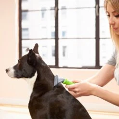 Frisco Deshedding Dog & Cat Brush 11 Frisco Deshedding Dog & Cat Brush -Chewy 206892 PT6. AC SS1800 V1680186216