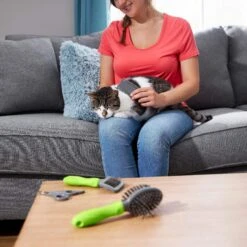 Frisco Beginner Grooming Kit For Dogs And Cats 17 Frisco Beginner Grooming Kit For Dogs And Cats -Chewy 206909 PT6. AC SS1800 V1680186162