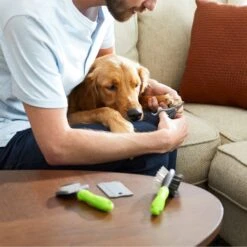 Frisco Beginner Grooming Kit For Dogs And Cats 18 Frisco Beginner Grooming Kit For Dogs And Cats -Chewy 206909 PT7. AC SS1800 V1680186156