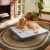 Frisco Cooling Orthopedic Pillow Dog Bed W/Removable Cover 2 Frisco Cooling Orthopedic Pillow Dog Bed W/Removable Cover -Chewy 210223 MAIN. AC SS1800 V1590067616
