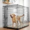 Frisco Heavy Duty Single Door Wire Dog Crate 1 Frisco Heavy Duty Single Door Wire Dog Crate -Chewy 210677 MAIN. AC SS1800 V1660404765