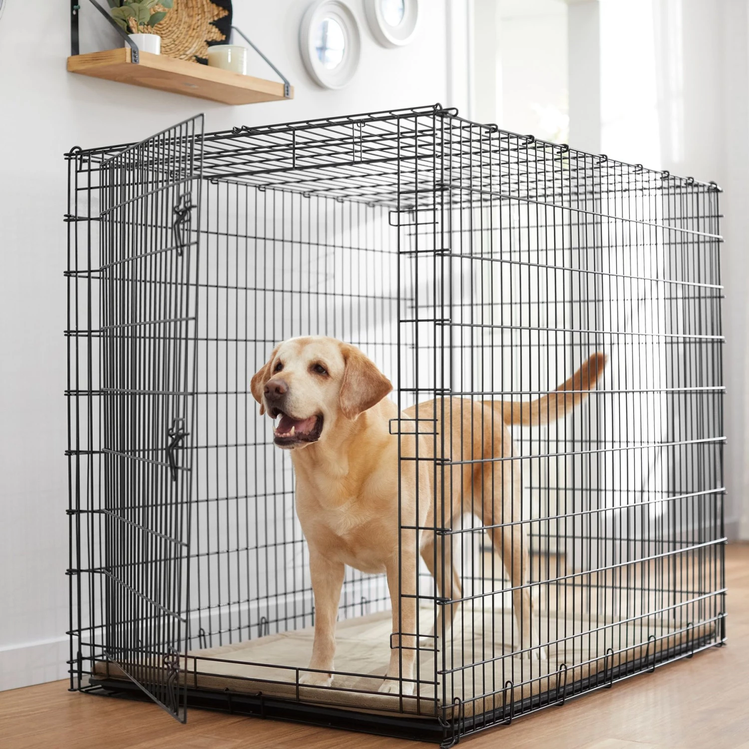 Frisco Heavy Duty Single Door Wire Dog Crate 3 Frisco Heavy Duty Single Door Wire Dog Crate