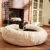 Frisco Eyelash Cat & Dog Bolster Bed 2 Frisco Eyelash Cat & Dog Bolster Bed -Chewy 210771 MAIN. AC SS1800 V1589289120