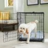 Frisco Fold & Carry Single Door Collapsible Wire Dog Crate & Mat Kit -Chewy 212620 MAIN. AC SS1800 V1667229072