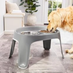 Frisco Elevated Dog Diner 9 Frisco Elevated Dog Diner -Chewy 213426 PT3. AC SS1800 V1583167385