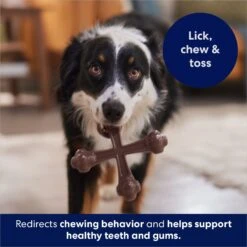 Frisco Bacon Flavor Tough Nylon Dog Chew Toy 12 Frisco Bacon Flavor Tough Nylon Dog Chew Toy -Chewy 213430 PT5. AC SS1800 V1691783968