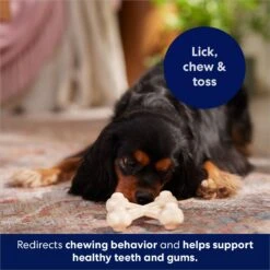 Frisco Chicken Flavor Tough Nylon Dog Chew Toy 12 Frisco Chicken Flavor Tough Nylon Dog Chew Toy -Chewy 213432 PT5. AC SS1800 V1691784031