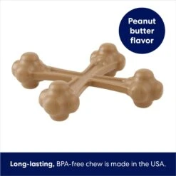 Frisco Peanut Butter Flavor Tough Nylon Dog Chew Toy -Chewy 213436 PT2. AC SS1800 V1692019767