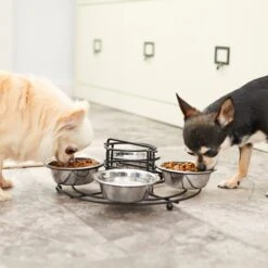 Frisco Multi Pet Feeding 4-Bowls Stainless Steel Dog & Cat Bowls, 0.5 Cup 16 Frisco Multi Pet Feeding 4-Bowls Stainless Steel Dog & Cat Bowls, 0.5 Cup -Chewy 213787 PT7. AC SS1800 V1599090064