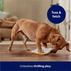 Frisco Frosted Pastry Stuffing-Free Flat Plush Squeaky Dog Toy 12 Frisco Frosted Pastry Stuffing-Free Flat Plush Squeaky Dog Toy -Chewy 213812 PT5. AC SS1800 V1686579088