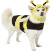 Frisco Bumble Bee Dog & Cat Costume 1 Frisco Bumble Bee Dog & Cat Costume -Chewy 215492 MAIN. AC SS1800 V1624542927