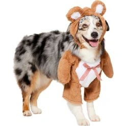 Frisco Front Walking Teddy Bear Dog & Cat Costume -Chewy 215507 PT3. AC SS1800 V1624402415
