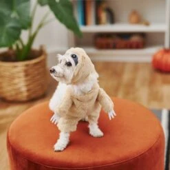 Frisco Front Walking Sloth Dog & Cat Costume 13 Frisco Front Walking Sloth Dog & Cat Costume -Chewy 215539 PT8. AC SS1800 V1599141353