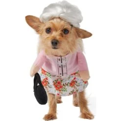 Frisco Front Walking Granny Dog & Cat Costume -Chewy 215577 PT4. AC SS1800 V1625077372