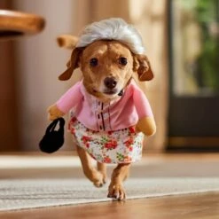 Frisco Front Walking Granny Dog & Cat Costume -Chewy 215577 PT8. AC SS1800 V1689621333