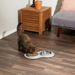 Frisco Double Stainless Steel Pet Bowl With Silicone Mat 16 Frisco Double Stainless Steel Pet Bowl With Silicone Mat -Chewy 215986 PT6. AC SS1800 V1605657710