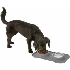 Frisco Silicone Stainless Steel Double Diner Dog & Cat Bowl -Chewy 215990 PT5. AC SS1800 V1605662218
